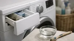 Pleśń w szufladzie na detergent: jak usunąć czarny nalot w 10 minut